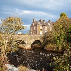 bushmills