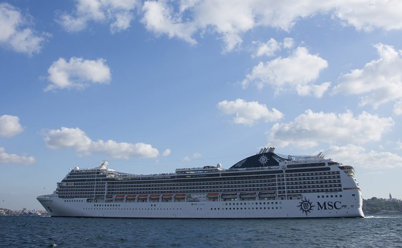 Cruise Ship Excursions